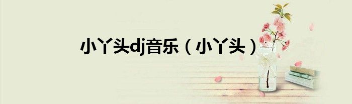 小丫头dj音乐(小丫头)
