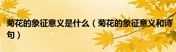 菊花的象征意义是什么(菊花的象征意义和诗句)