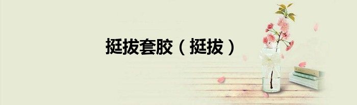 挺拔套胶（挺拔）