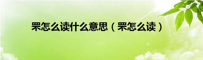 罘怎么读什么意思(罘怎么读)