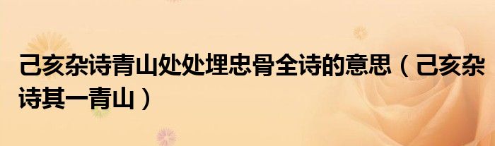 己亥杂诗青山处处埋忠骨全诗的意思(己亥杂诗其一青山)