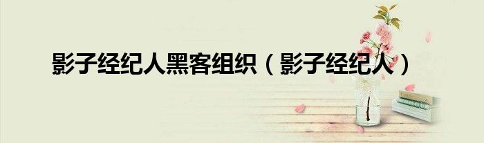 影子经纪人黑客组织(影子经纪人)