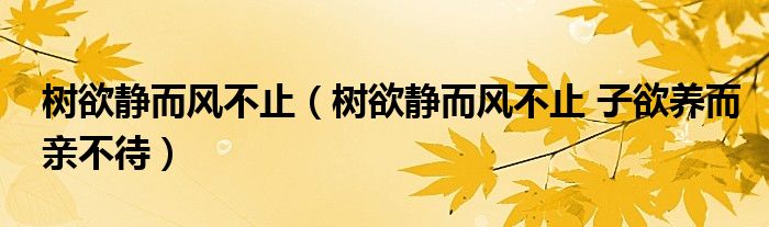 树欲静而风不止(树欲静而风不止 子欲养而亲不待)