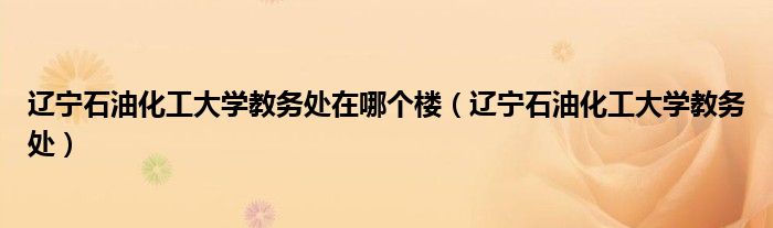 辽宁石油化工大学教务处在哪个楼(辽宁石油化工大学教务处)
