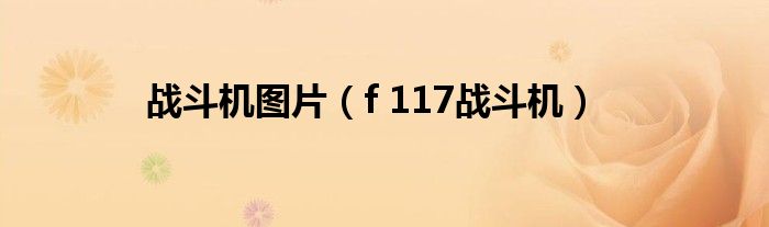 战斗机图片(f 117战斗机)