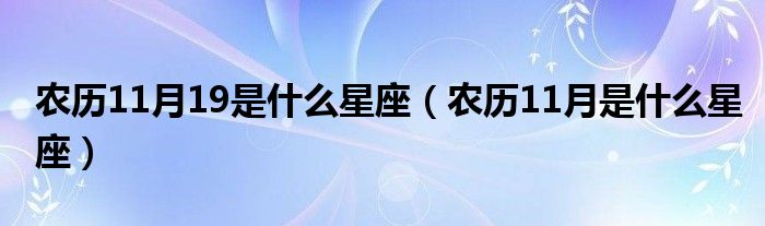 农历11月19是什么星座(农历11月是什么星座)