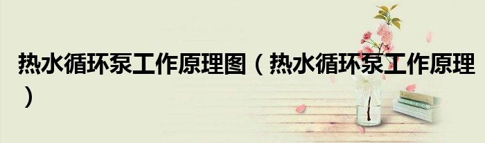 热水循环泵工作原理图(热水循环泵工作原理)
