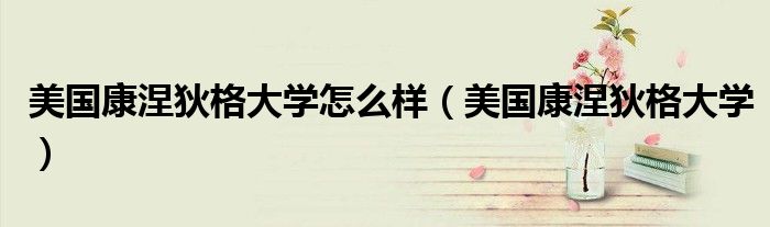 美国康涅狄格大学怎么样(美国康涅狄格大学)
