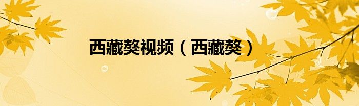 西藏獒视频（西藏獒）