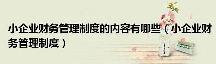 小企业财务管理制度的内容有哪些(小企业财务管理制度)