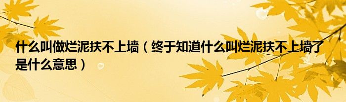 什么叫做烂泥扶不上墙(终于知道什么叫烂泥扶不上墙了 是什么意思)