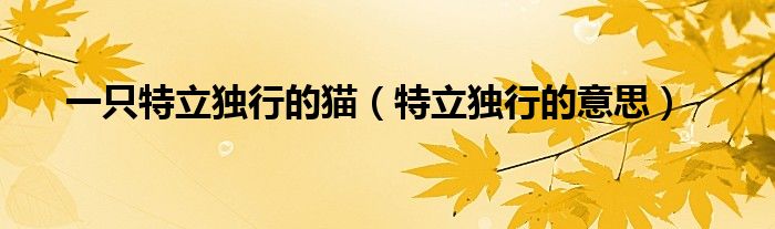 一只特立独行的猫(特立独行的意思)