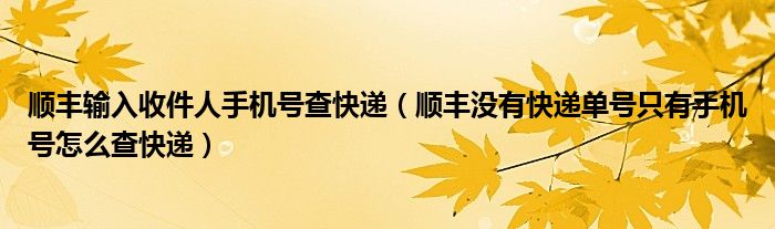 顺丰输入收件人手机号查快递(顺丰没有快递单号只有手机号怎么查快递)