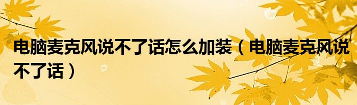 电脑麦克风说不了话怎么加装(电脑麦克风说不了话)