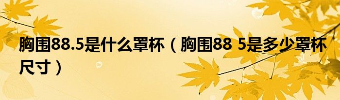 胸围88.5是什么罩杯(胸围88 5是多少罩杯尺寸)
