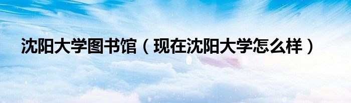 沈阳大学图书馆(现在沈阳大学怎么样)