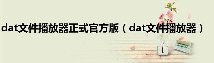 dat文件播放器正式官方版(dat文件播放器)