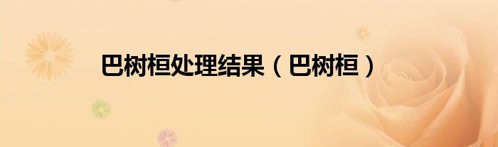 巴树桓处理结果(巴树桓)