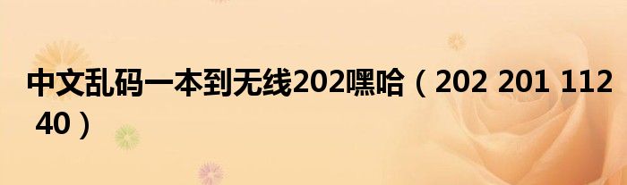 中文乱码一本到无线202嘿哈(202 201 112 40)