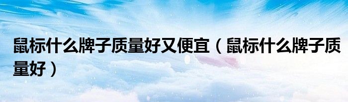 鼠标什么牌子质量好又便宜(鼠标什么牌子质量好)