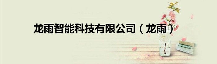 龙雨智能科技有限公司(龙雨)