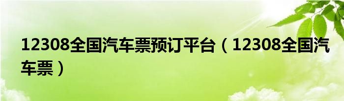 12308全国汽车票预订平台(12308全国汽车票)