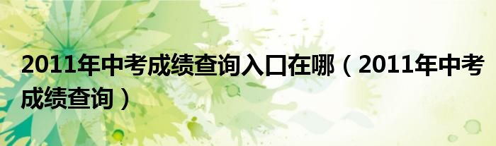 2011年中考成绩查询入口在哪(2011年中考成绩查询)