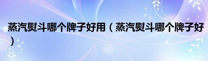 蒸汽熨斗哪个牌子好用(蒸汽熨斗哪个牌子好)