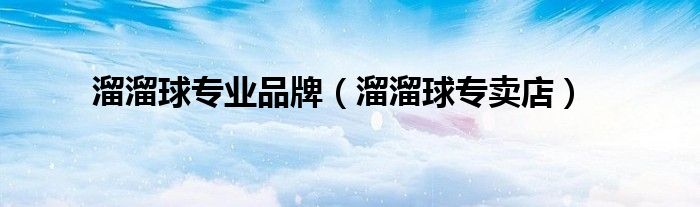 溜溜球专业品牌(溜溜球专卖店)
