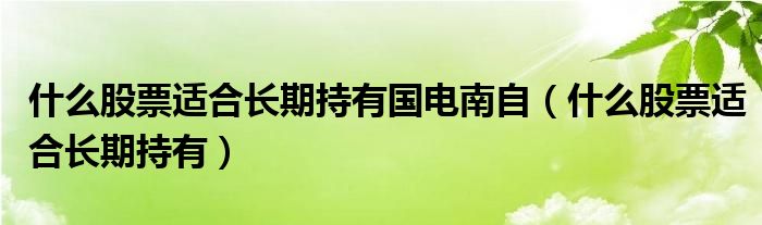 什么股票适合长期持有国电南自(什么股票适合长期持有)