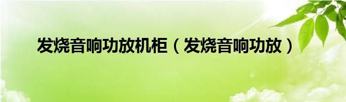 发烧音响功放机柜(发烧音响功放)