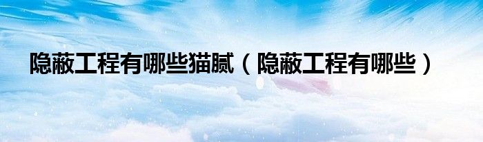 隐蔽工程有哪些猫腻(隐蔽工程有哪些)