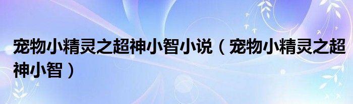 宠物小精灵之超神小智小说(宠物小精灵之超神小智)