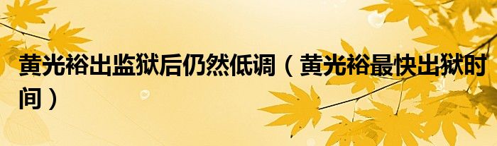 黄光裕出监狱后仍然低调(黄光裕最快出狱时间)