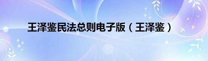 王泽鉴民法总则电子版(王泽鉴)