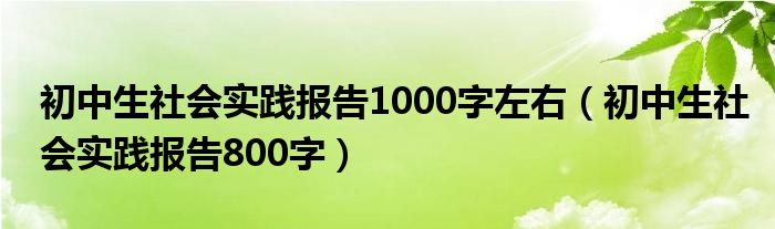 初中生社会实践报告1000字左右(初中生社会实践报告800字)