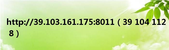 http://39.103.161.175:8011(39 104 112 8)
