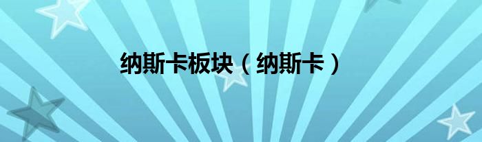 纳斯卡板块（纳斯卡）