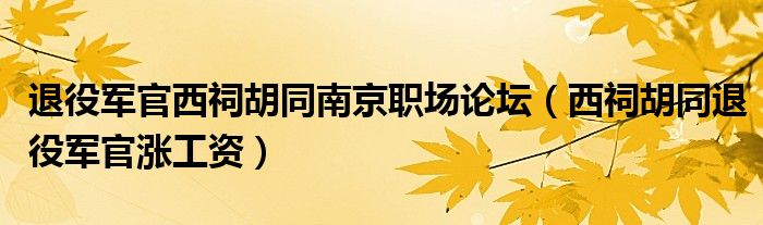 退役军官西祠胡同南京职场论坛(西祠胡同退役军官涨工资)