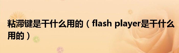 粘滞键是干什么用的(flash player是干什么用的)