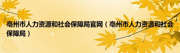 亳州市人力资源和社会保障局官网(亳州市人力资源和社会保障局)
