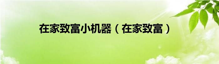 在家致富小机器(在家致富)