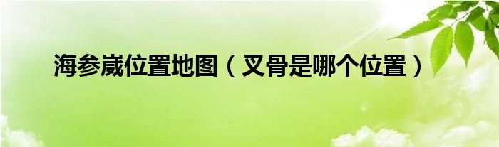 海参崴位置地图(叉骨是哪个位置)