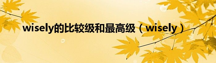 wisely的比较级和最高级(wisely)