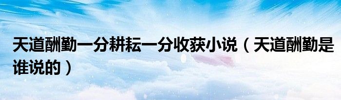 天道酬勤一分耕耘一分收获小说(天道酬勤是谁说的)