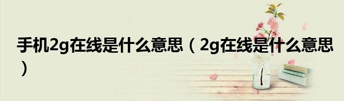 手机2g在线是什么意思(2g在线是什么意思)