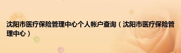 沈阳市医疗保险管理中心个人帐户查询(沈阳市医疗保险管理中心)