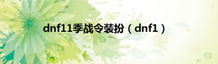 dnf11季战令装扮(dnf1)