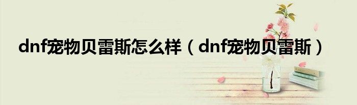 dnf宠物贝雷斯怎么样(dnf宠物贝雷斯)