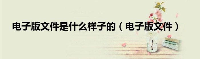 电子版文件是什么样子的(电子版文件)